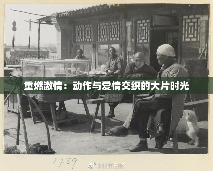 重燃激情：动作与爱情交织的大片时光