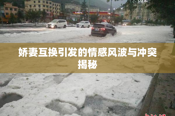 娇妻互换引发的情感风波与冲突揭秘