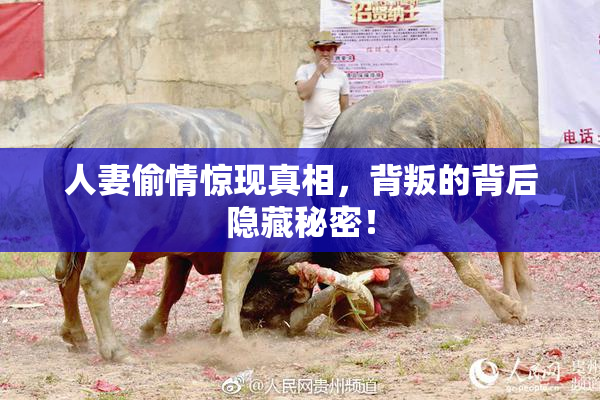 人妻偷情惊现真相，背叛的背后隐藏秘密！