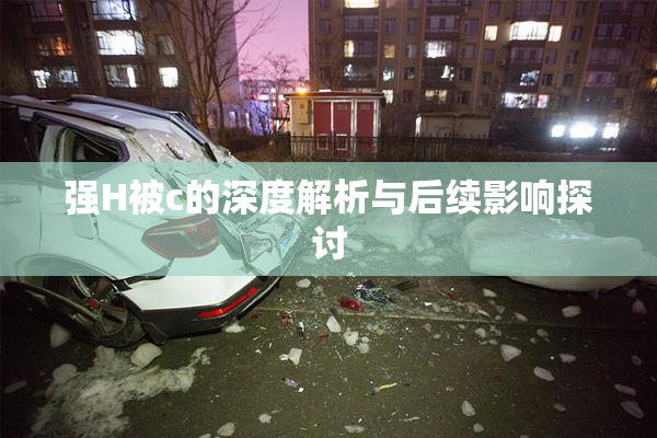 强H被c的深度解析与后续影响探讨