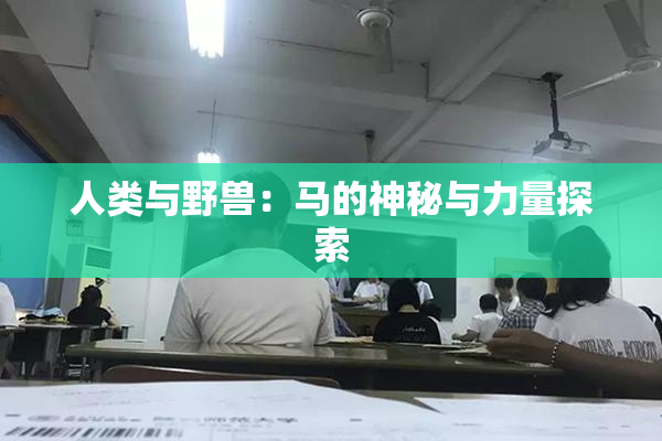 人类与野兽：马的神秘与力量探索