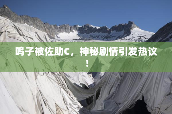 鸣子被佐助C，神秘剧情引发热议！