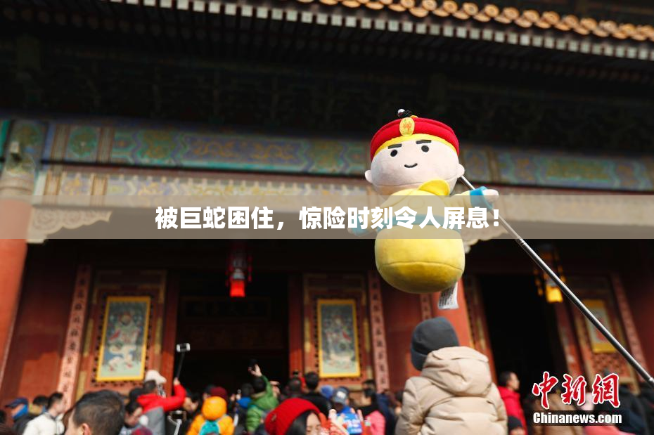 被巨蛇困住，惊险时刻令人屏息！