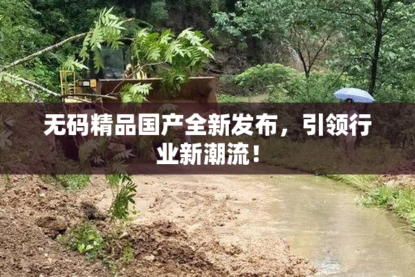 无码精品国产全新发布，引领行业新潮流！