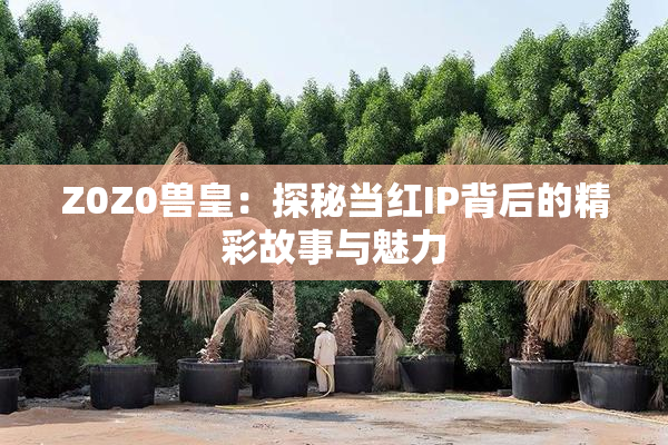 Z0Z0兽皇：探秘当红IP背后的精彩故事与魅力