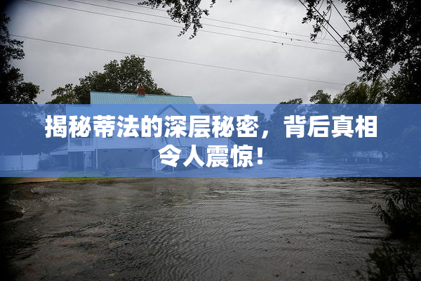 揭秘蒂法的深层秘密，背后真相令人震惊！