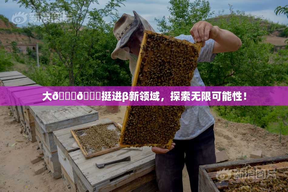 大🐔🐔挺进β新领域，探索无限可能性！