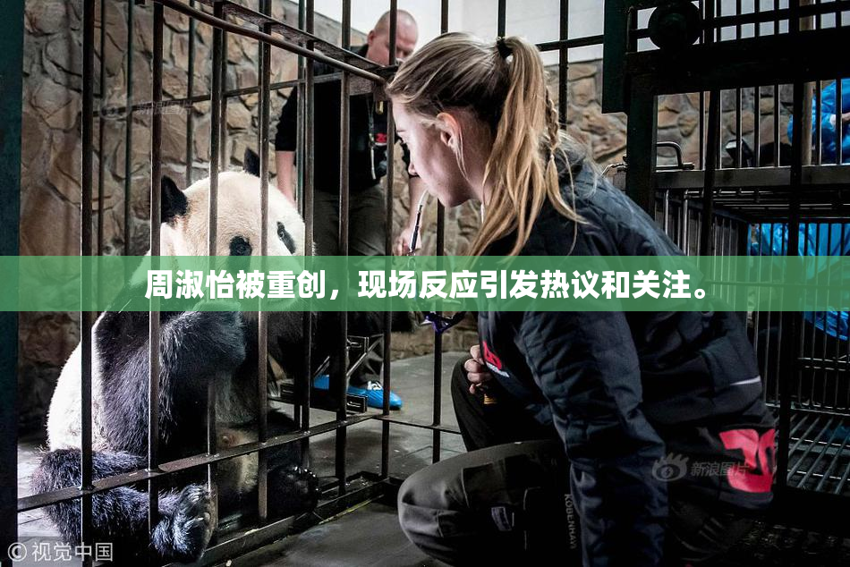 周淑怡被重创，现场反应引发热议和关注。