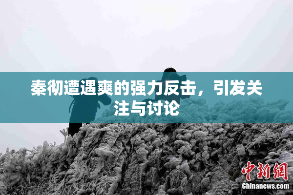 秦彻遭遇爽的强力反击，引发关注与讨论