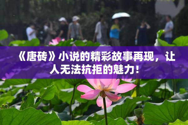 《唐砖》小说的精彩故事再现，让人无法抗拒的魅力！