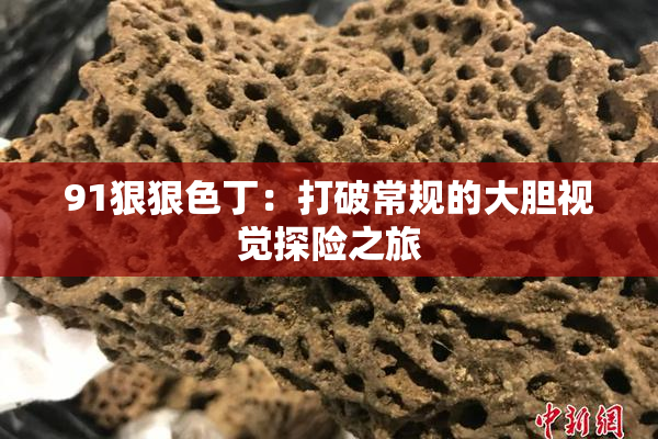 91狠狠色丁：打破常规的大胆视觉探险之旅