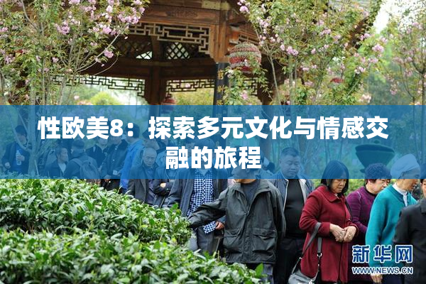性欧美8：探索多元文化与情感交融的旅程