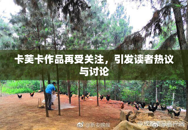 卡芙卡作品再受关注，引发读者热议与讨论