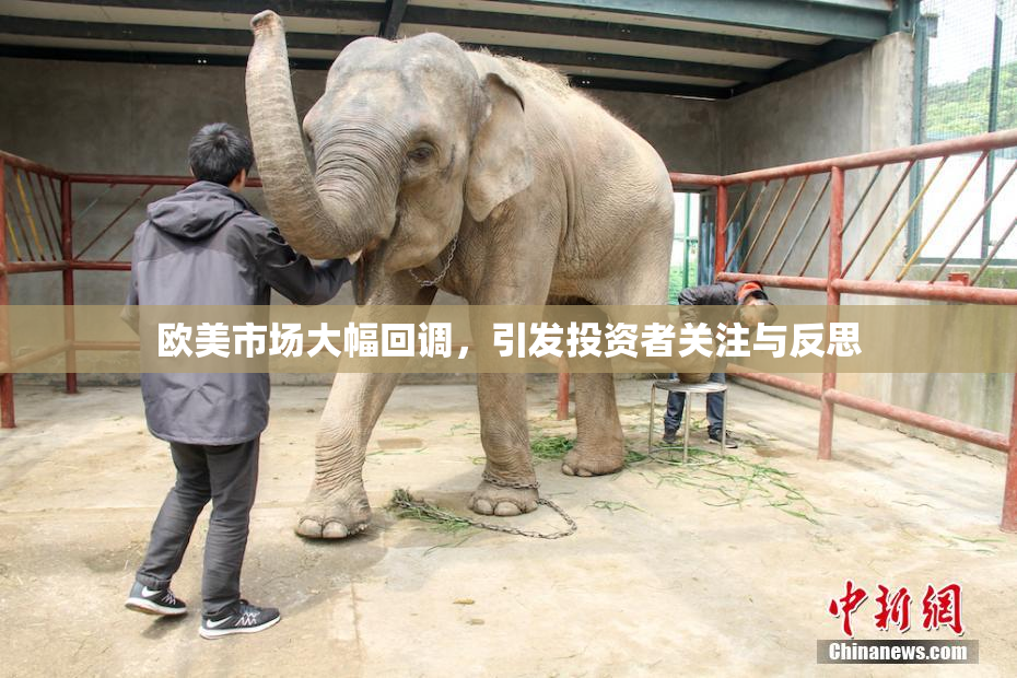 欧美市场大幅回调，引发投资者关注与反思