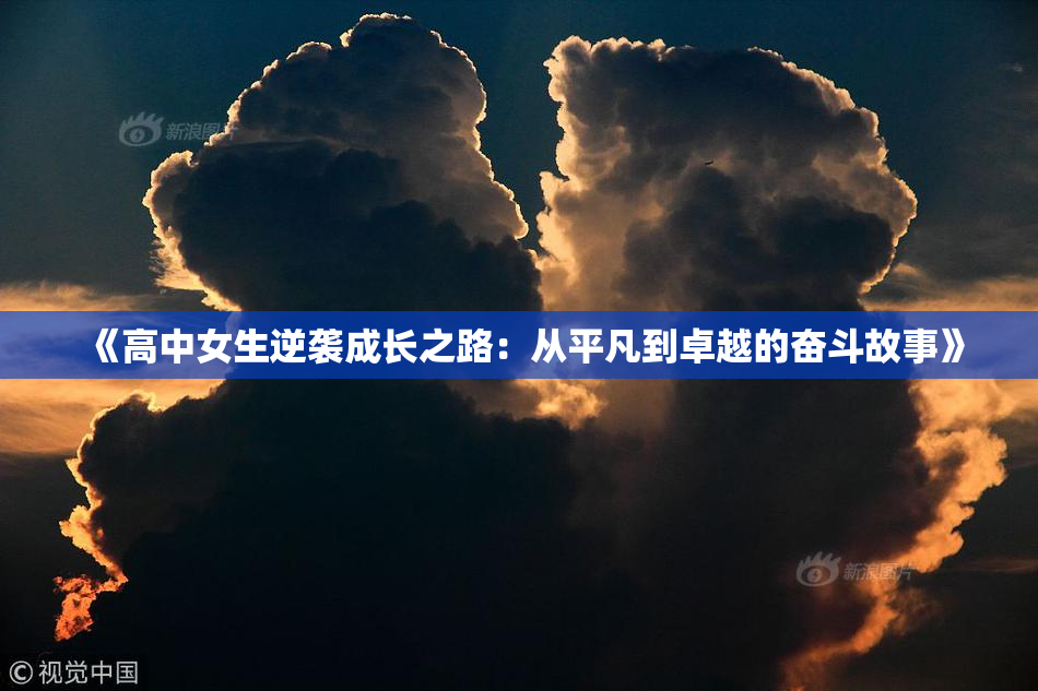 《高中女生逆袭成长之路：从平凡到卓越的奋斗故事》