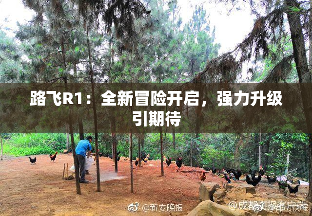 路飞R1：全新冒险开启，强力升级引期待