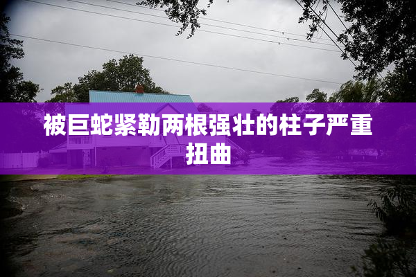 被巨蛇紧勒两根强壮的柱子严重扭曲
