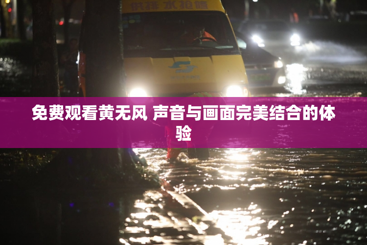 免费观看黄无风 声音与画面完美结合的体验