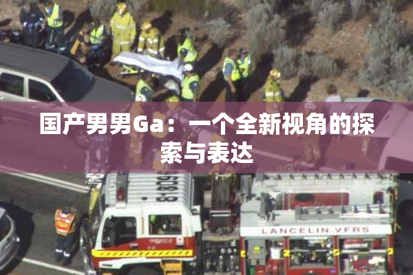 国产男男Ga：一个全新视角的探索与表达