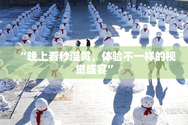 “晚上看秒湿黄，体验不一样的视觉盛宴”
