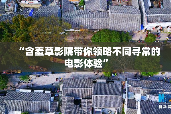 “含羞草影院带你领略不同寻常的电影体验”