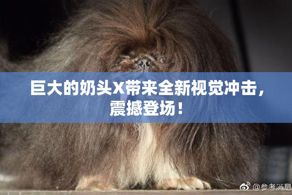 巨大的奶头X带来全新视觉冲击，震撼登场！