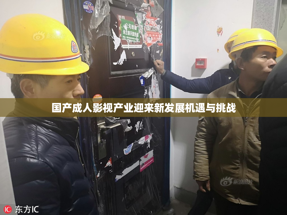 国产成人影视产业迎来新发展机遇与挑战