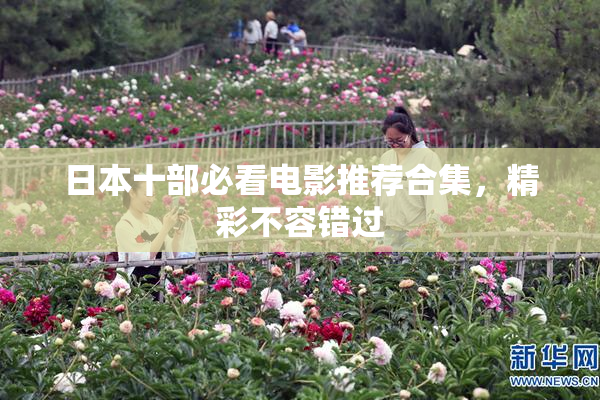 日本十部必看电影推荐合集，精彩不容错过