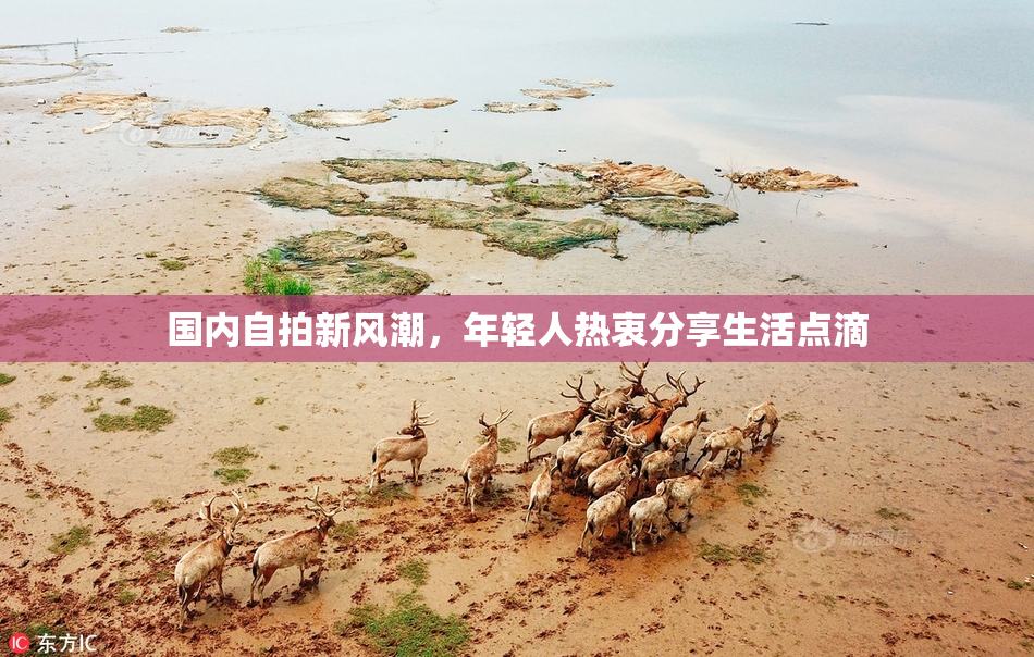 国内自拍新风潮，年轻人热衷分享生活点滴