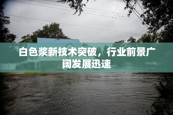 白色浆新技术突破，行业前景广阔发展迅速