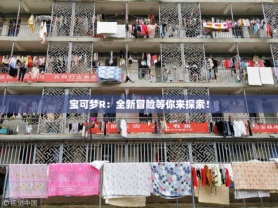 宝可梦R：全新冒险等你来探索！