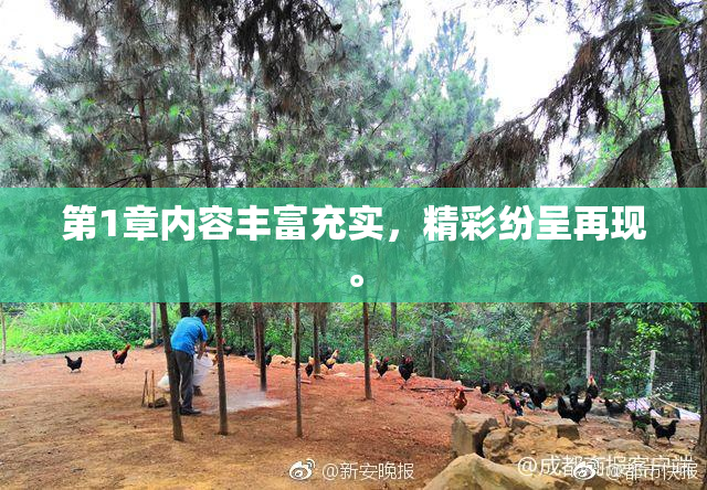 第1章内容丰富充实，精彩纷呈再现。