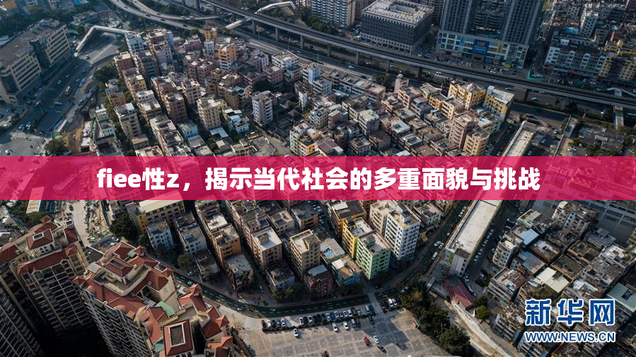 fiee性z，揭示当代社会的多重面貌与挑战