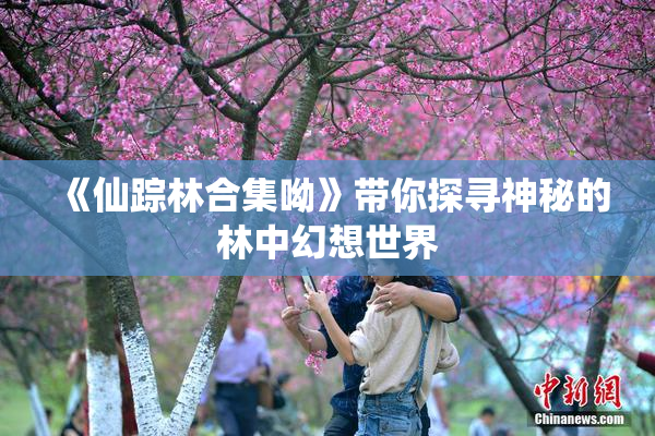 《仙踪林合集呦》带你探寻神秘的林中幻想世界
