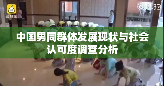 中国男同群体发展现状与社会认可度调查分析