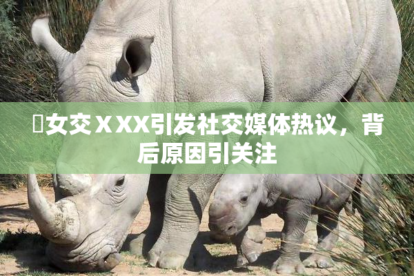 乣女交ⅩXX引发社交媒体热议，背后原因引关注