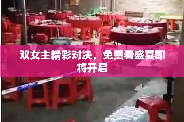 双女主精彩对决，免费看盛宴即将开启