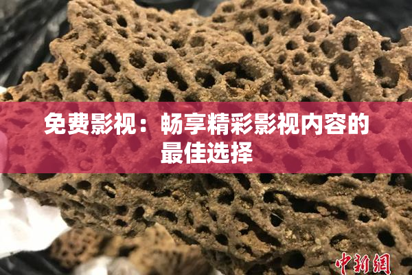 免费影视：畅享精彩影视内容的最佳选择