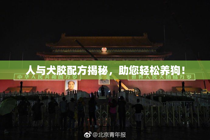 人与犬胶配方揭秘，助您轻松养狗！