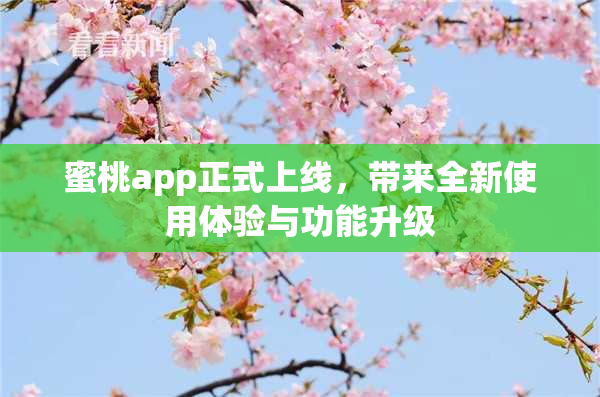 蜜桃app正式上线，带来全新使用体验与功能升级