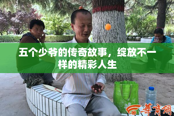 五个少爷的传奇故事，绽放不一样的精彩人生