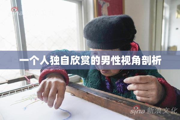 一个人独自欣赏的男性视角剖析