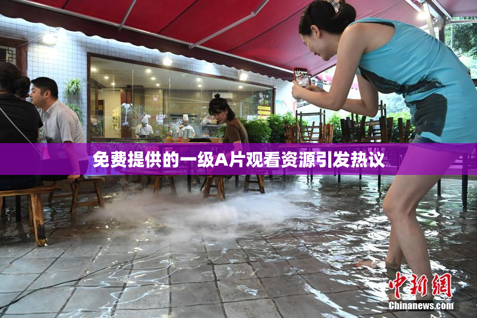 免费提供的一级A片观看资源引发热议