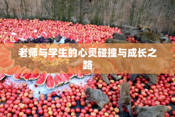 老师与学生的心灵碰撞与成长之路