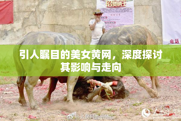 引人瞩目的美女黄网，深度探讨其影响与走向