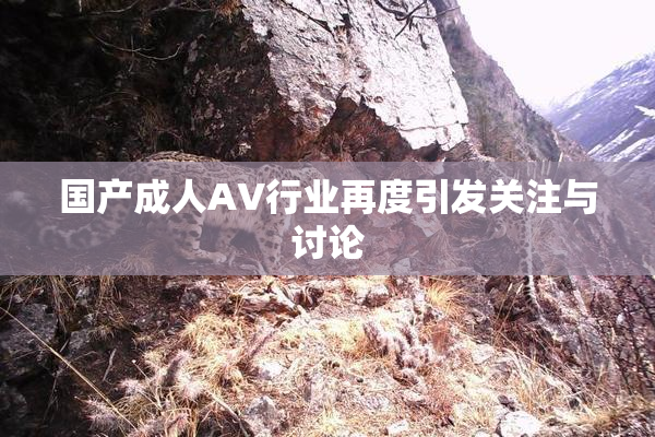国产成人AV行业再度引发关注与讨论
