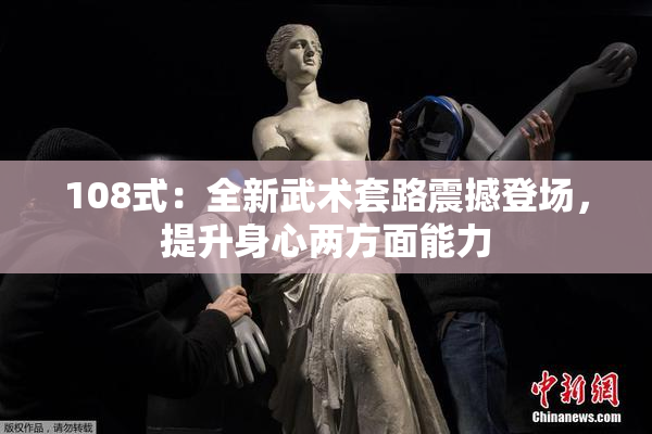 108式：全新武术套路震撼登场，提升身心两方面能力