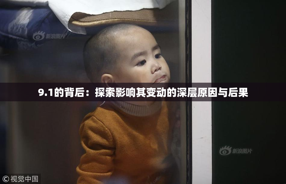 9.1的背后：探索影响其变动的深层原因与后果