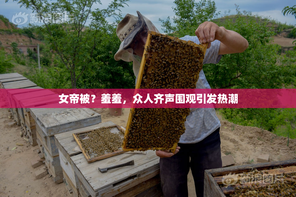 女帝被？羞羞，众人齐声围观引发热潮