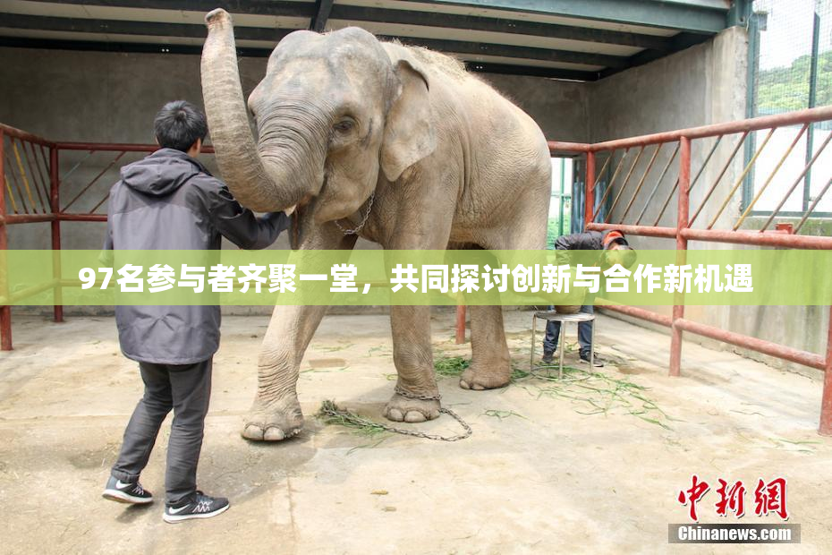 97名参与者齐聚一堂，共同探讨创新与合作新机遇